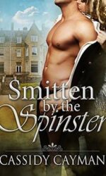 Smitten by the Spinster book cover