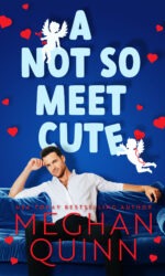 A Not So Meet Cute book cover